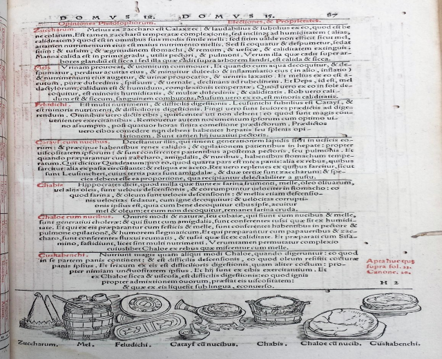 Offenes Buch mit detaillierten Illustrationen von Obst, Gemüse und Getreide neben mehrfarbigem, variierendem Schriftbild.