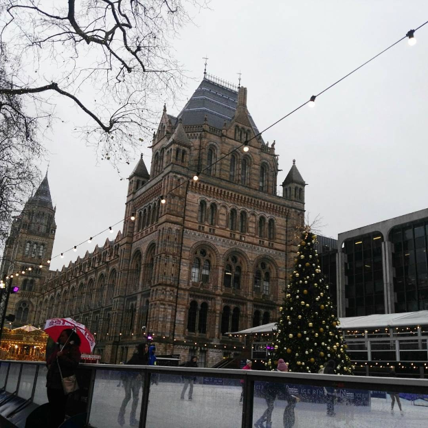Menschen auf der Eisbahn vor dem Naturkundemuseum in London mit einem geschmückten Weihnachtsbaum und einer Person mit einem Schirm.