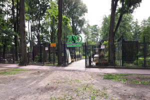 Eintritt zu einem Zoo mit einem "Zoo"-Schild, umgeben von einem Metallzaun, mit Bäumen, blühenden Pflanzen, einem Straßenpfahl und einem bewölkten Himmel.