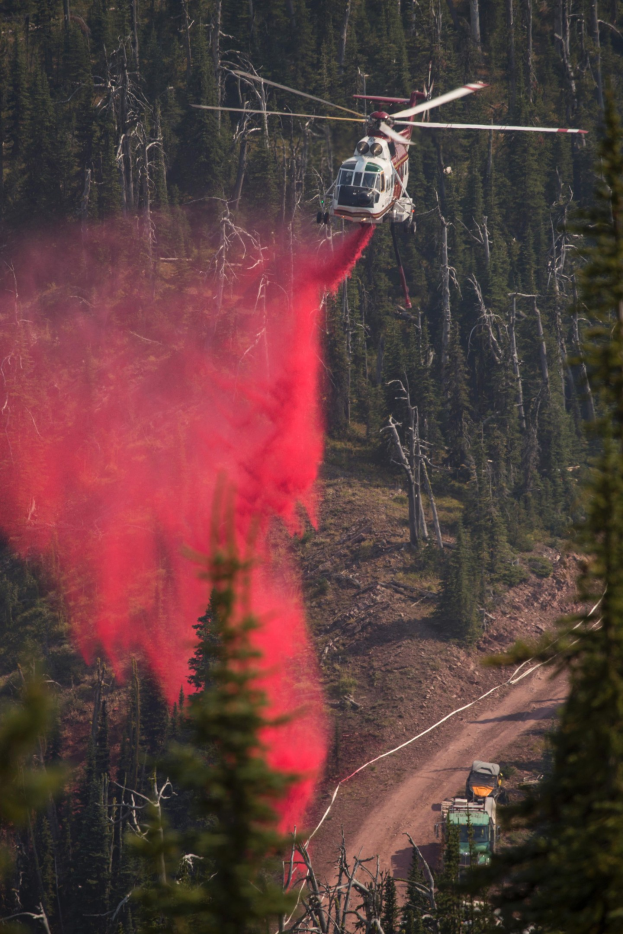 Ein Hubschrauber lässt Wasser auf einen Waldbrand fallen, während ein Fahrzeug am Boden zu sehen ist und Bäume im Hintergrund.