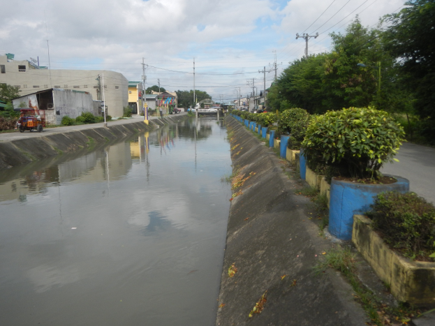 Flutstraße in der Stadtmitte mit Wasser auf der Straße, Vegetation auf der rechten Seite, Fahrzeugen auf der linken Seite, Gebäuden und Strommasten im Hintergrund und bewölktem Himmel oben.