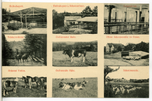 Ein Schwarz-Weiß-Foto einer Farm mit Kuhen, Pferden, Schafen, Häusern, Bäumen und einem Zaun, mit Text auf einer Postkarte.
