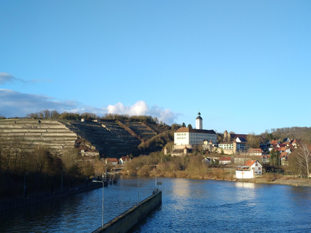 Eine malerische Aussicht auf den Rhein in Deutschland mit einer Brücke, die den Fluss überspannt, Laternen an den Ufern, Bäume und Gebäude entlang der Flussufer und ein Hügel im Hintergrund bei einem bewölkten Himmel.