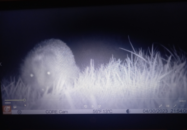 Ein Computerbildschirm mit einer Wolkenabbildung, Text und Zahlen.