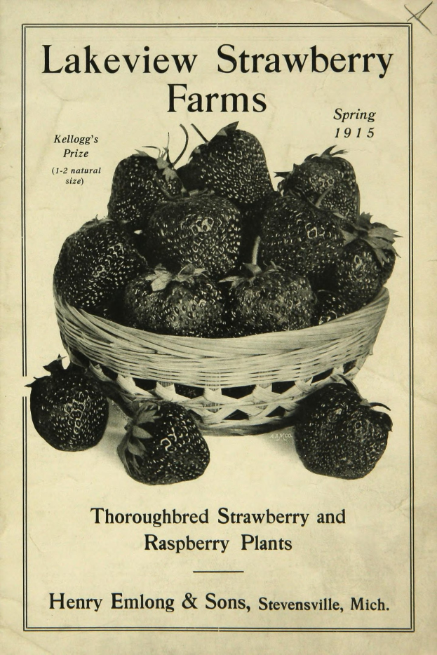 Plakat aus dem Frühjahr 1915, das Lakeview Erdbeerfarmen bewirbt und einen Korb reifer roter Erdbeeren mit der Aufschrift "Zuchtstamm Erdbeeren und Himbeeren" zeigt.
