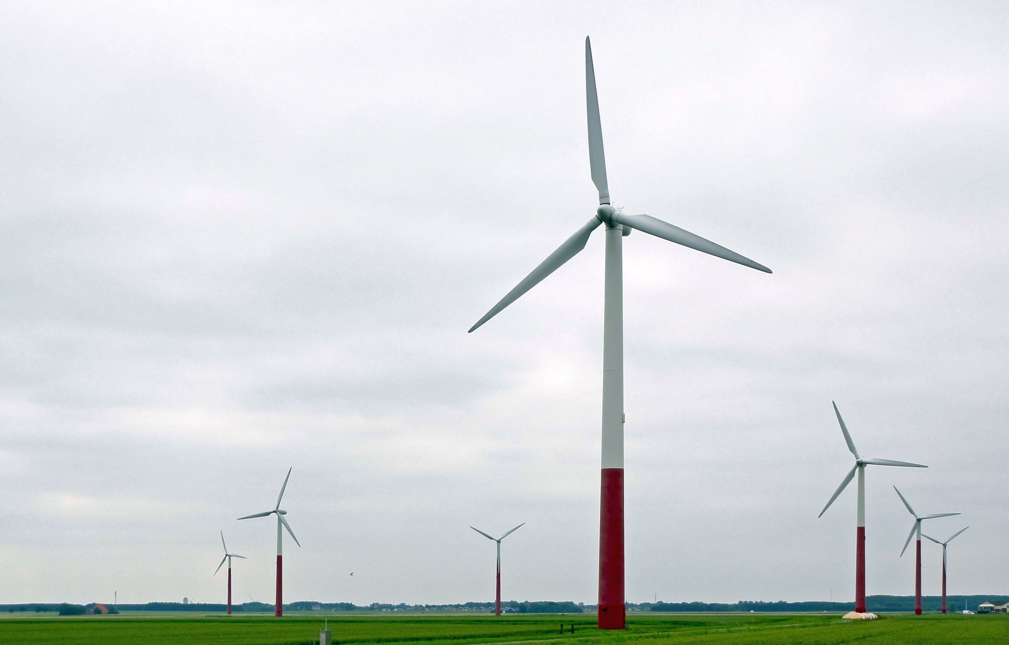 Eine Gruppe hoher weißer Windkraftanlagen in einem grünen Feld mit Bäumen und Wolken im Hintergrund.