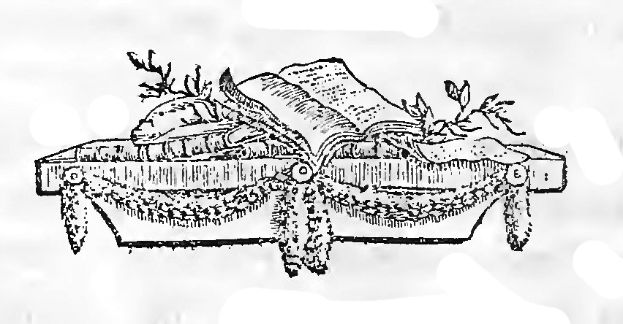 Schwarz-weiß-Zeichnung einer Geschenkbox mit aufgesetztem aufgeschlagenem Buch, umwickelt mit einer Schleife, verziert mit Stechpalmenblättern und Beeren.