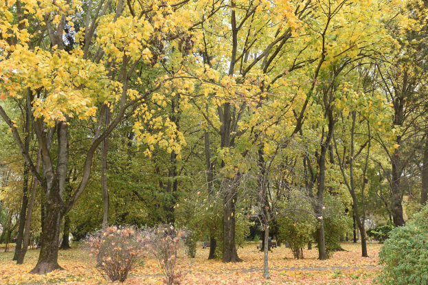 Am 10. und 11. Oktober feiert Iserlohn Naturerlebnis beim Waldstadtfest